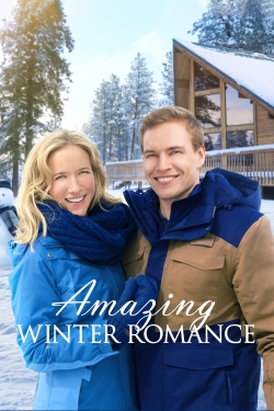 watch Amazing Winter Romance online free