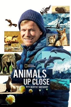 watch Animals Up Close with Bertie Gregory online free