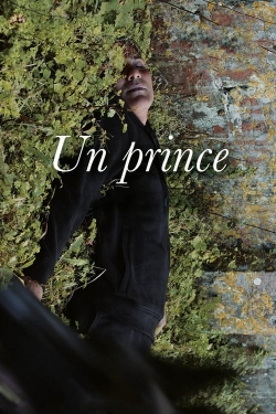 watch A Prince online free