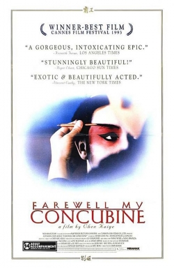 watch Farewell My Concubine online free