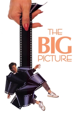 watch The Big Picture online free
