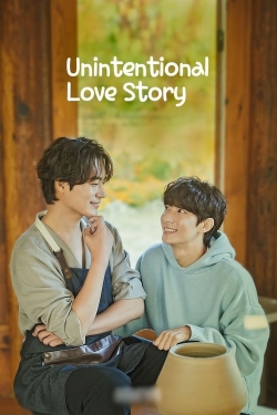watch Unintentional Love Story online free
