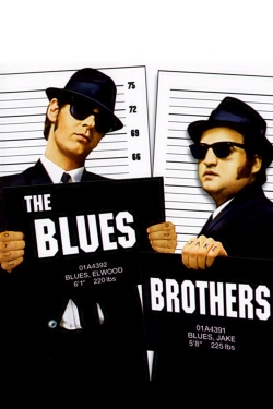 watch The Blues Brothers online free