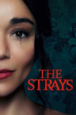 watch The Strays online free
