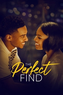 watch The Perfect Find online free