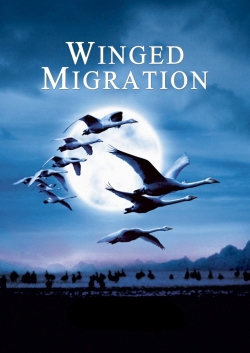 watch Winged Migration online free