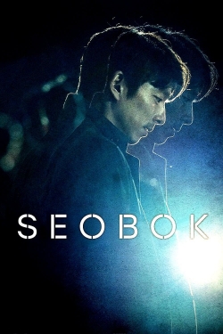 watch Seobok online free