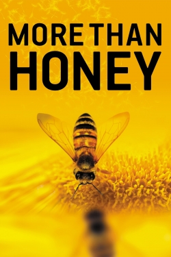 watch More Than Honey online free