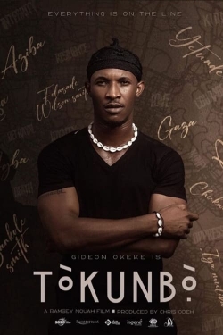 watch Tòkunbò̩ online free