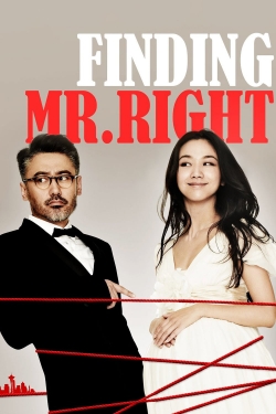 watch Finding Mr. Right online free