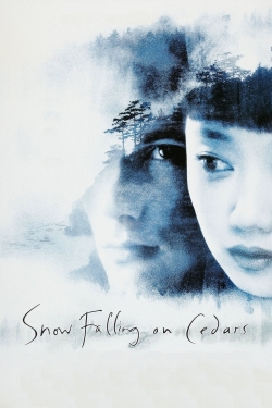 watch Snow Falling on Cedars online free