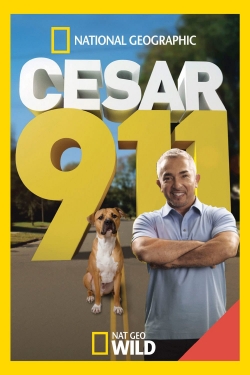 watch Cesar 911 online free