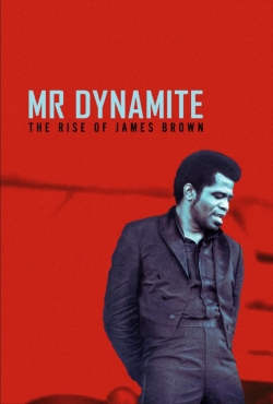 watch Mr. Dynamite - The Rise of James Brown online free