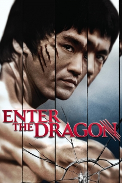 watch Enter the Dragon online free