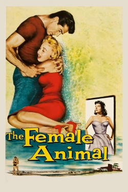 watch The Female Animal online free
