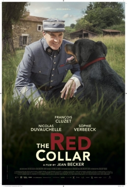 watch The Red Collar online free
