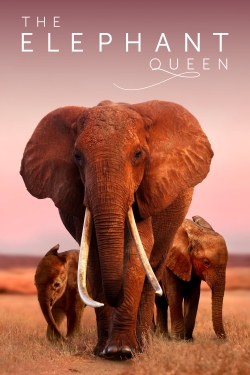 watch The Elephant Queen online free