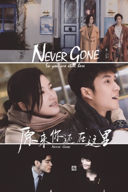 watch Never Gone online free