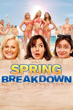 watch Spring Breakdown online free