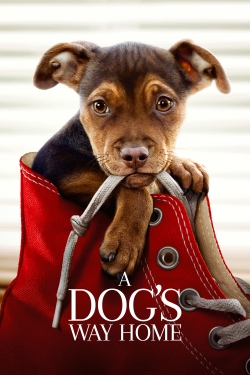 watch A Dog's Way Home online free