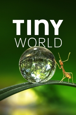 watch Tiny World online free