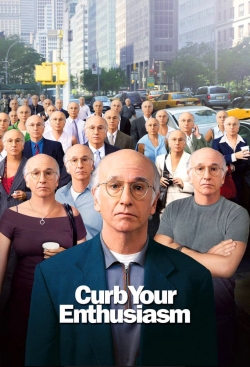 watch Larry David: Curb Your Enthusiasm online free