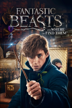 watch Fantastic Beasts and Where to Find Them online free