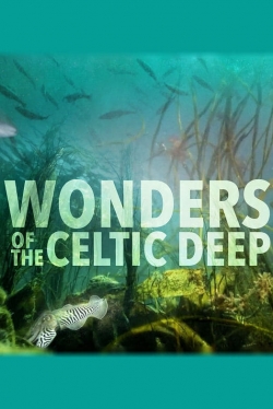 watch Wonders of the Celtic Deep online free