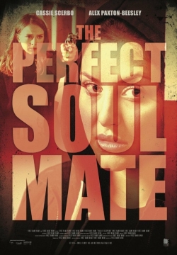 watch The Perfect Soulmate online free