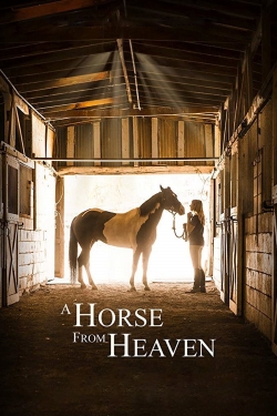 watch A Horse from Heaven online free